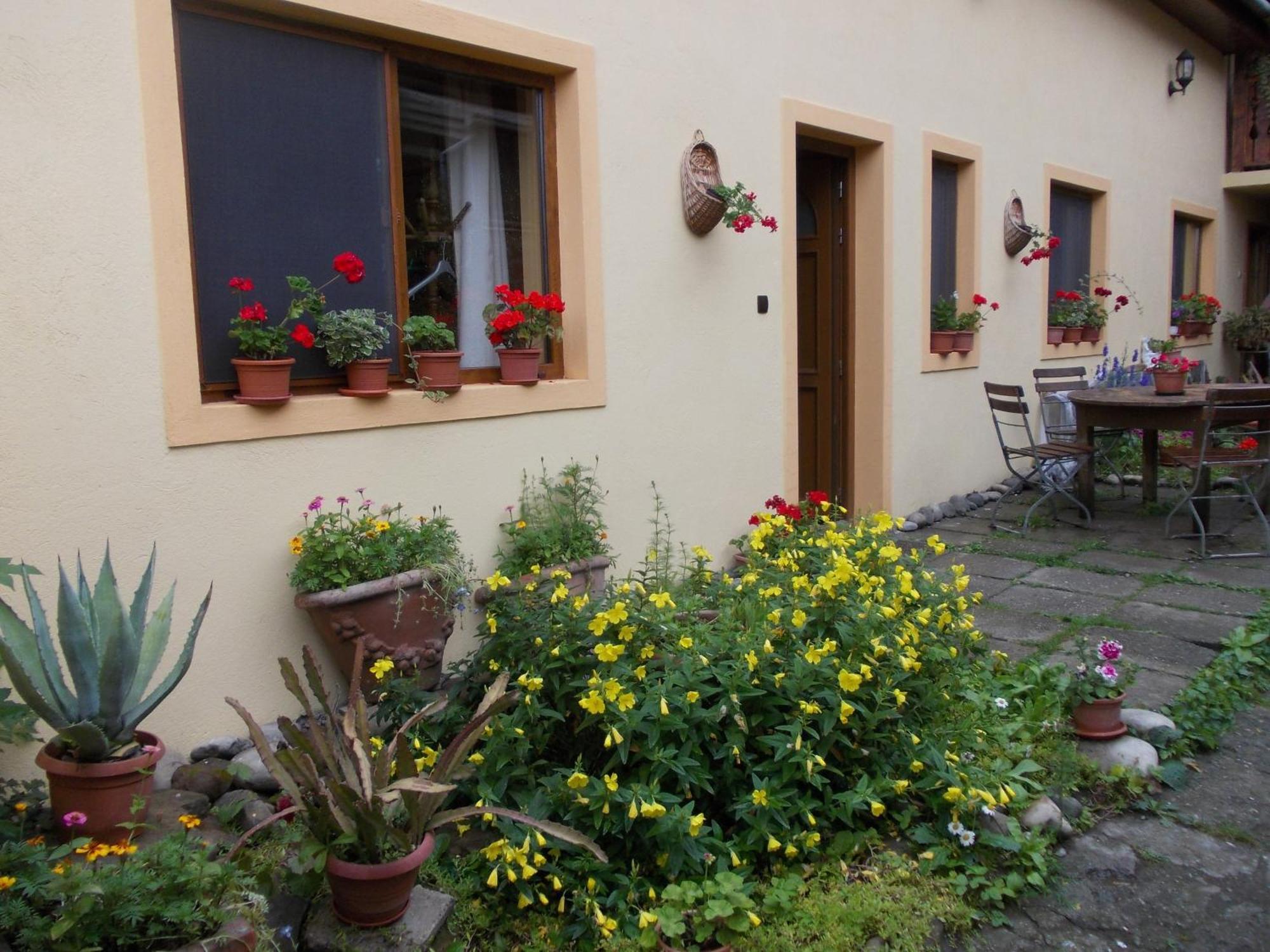Casa Lia Hotel Sighişoara Exterior foto